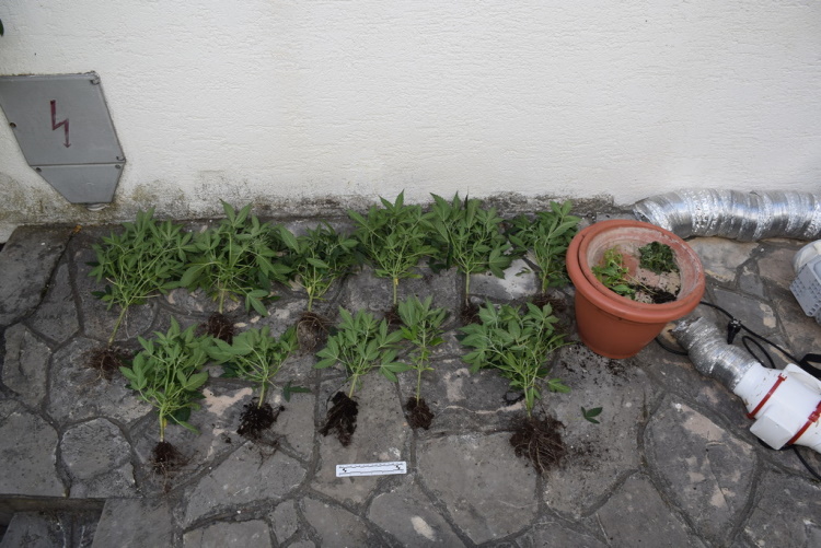 Slika /PU_ZG/slike/PUZ/2020/Srpanj/droga sesvete 0907/foto 1.jpg